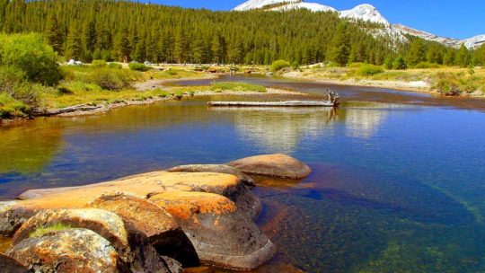 Yosemite un site d’hébergement pour camping très apprécié : Le village Curry