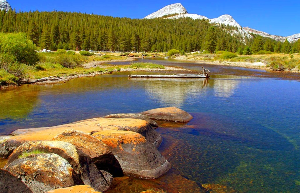 Yosemite un site d’hébergement pour camping très apprécié : Le village Curry