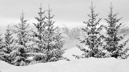 Sejour a Courchevel pour les vacances : une bonne idee