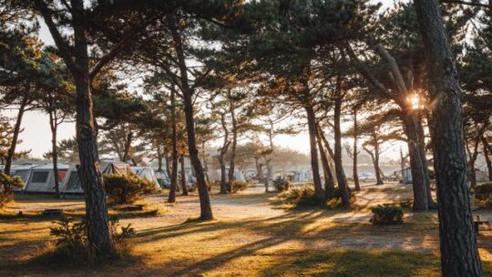 Découverte du Landae Camping Municipal Ondres-Océan et des plus beaux chemins de nature environnants